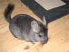 Photo Number 5